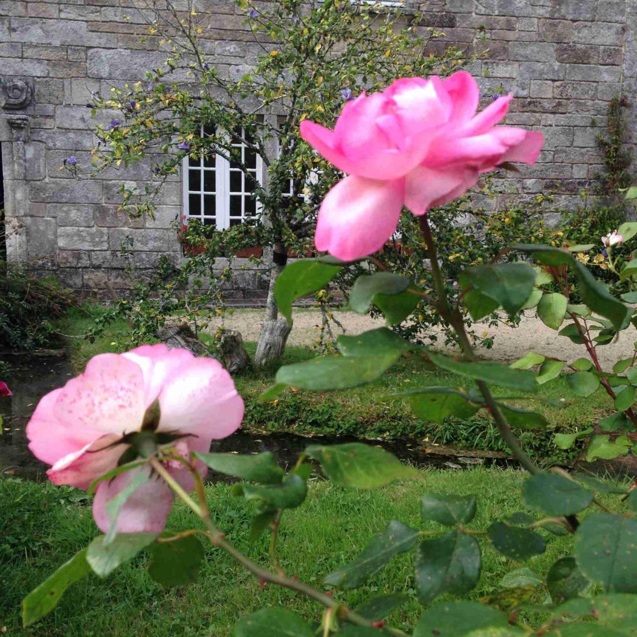 Manoir Du Moustoir - Hotel Les Empreintes Saint-Évarzec المظهر الخارجي الصورة